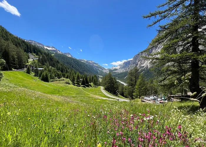 Chez Louis - Alpine Charm With Mont Blanc View & Access Courmayeur